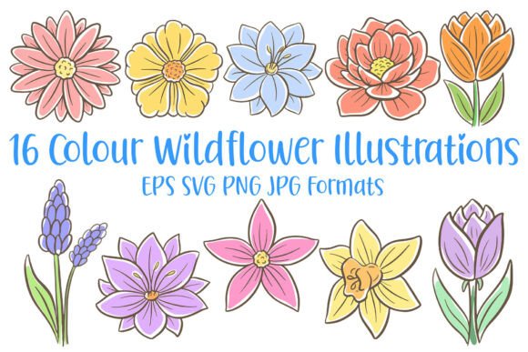 16 Wildflower Flower Illustration Floral Graphics