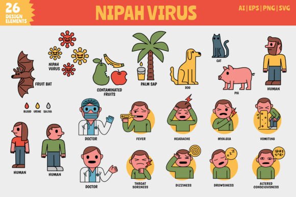 26 Nipah Virus Elements: Graphics & Illustrations