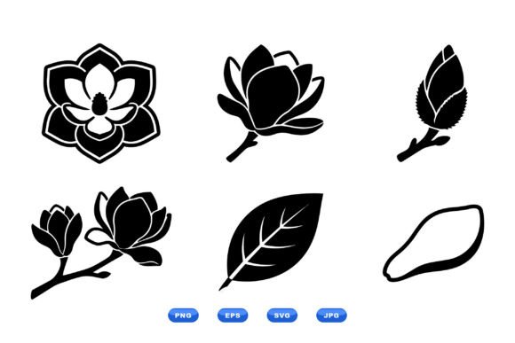 Magnolia Floral SVG Collection