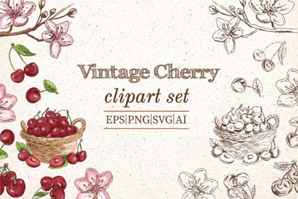 Vintage Cherry Clipart Set: Graphics & Illustrations
